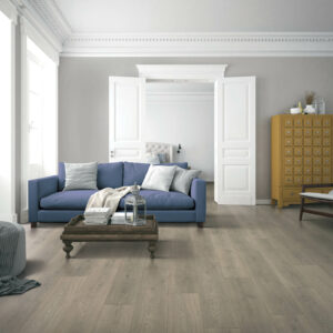 Vinyl flooring for living room | Carpet Source