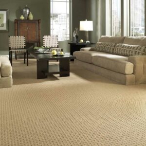 Carpet Flooring for living room | Carpet Source