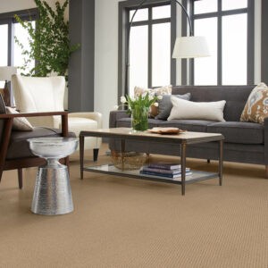 Living room carpet flooring | Carpet Source