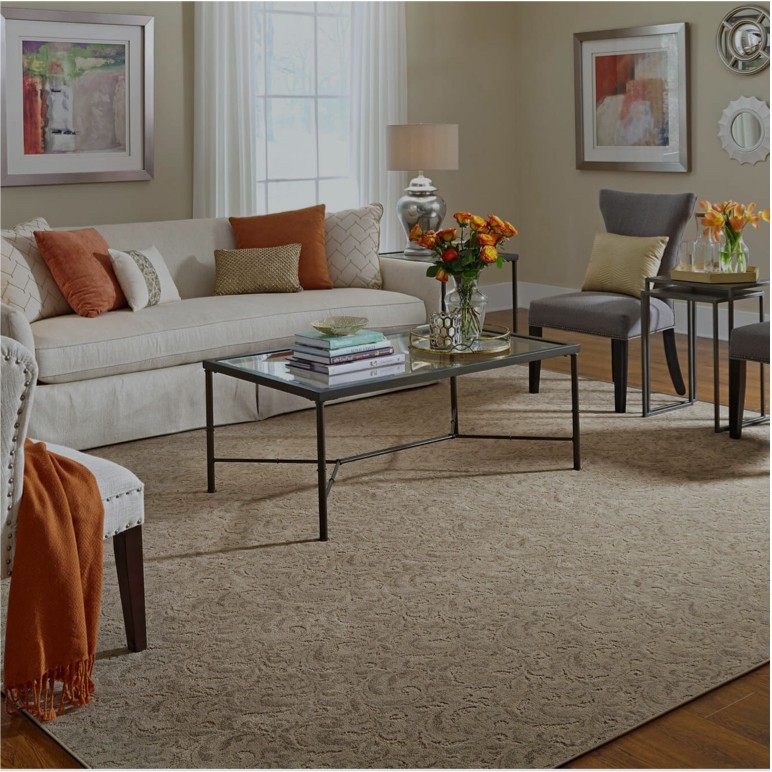 Living room area rug | Carpet Source