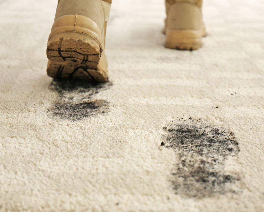 Carpet Dirt Debris | Carpet Source